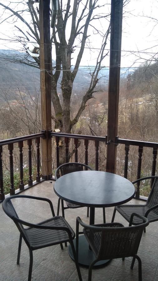 Guest House Alfa Daniel Balkanets  Exterior photo